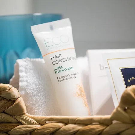 Hotell Baeren Am Bundesplatz 4*