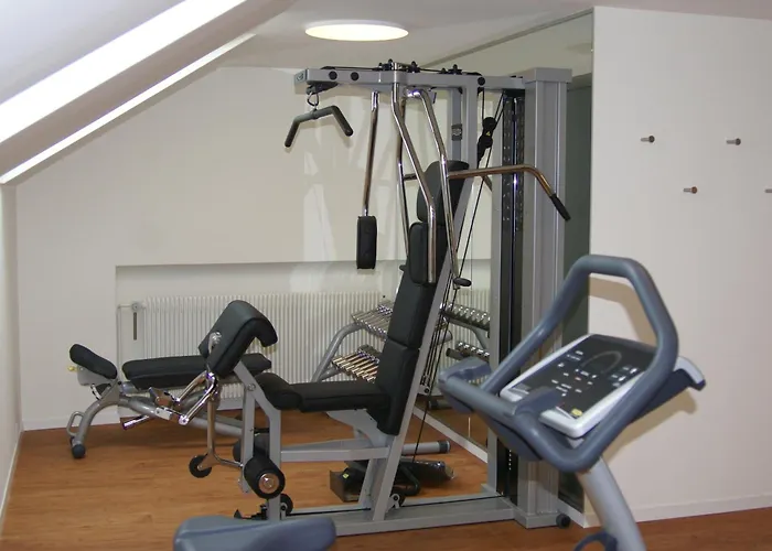 Baeren Am Bundesplatz Bern