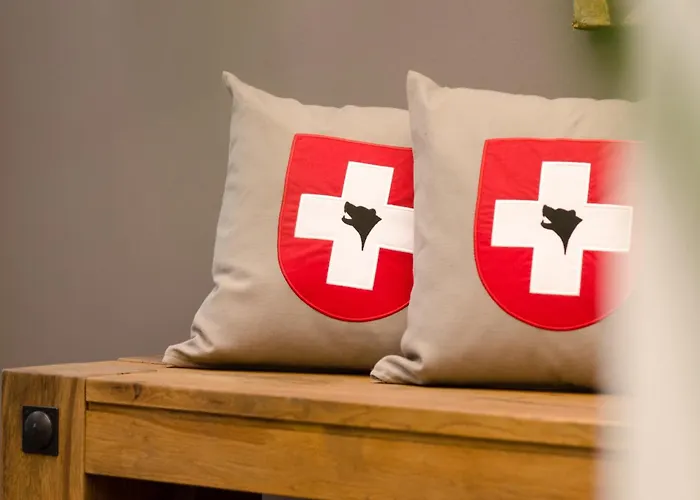 Baeren Am Bundesplatz Berna